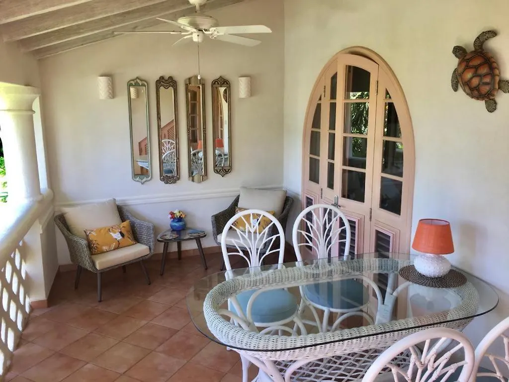 Fabulous Sugar Hill Penthouse With Roof Terrace Apartment Saint James